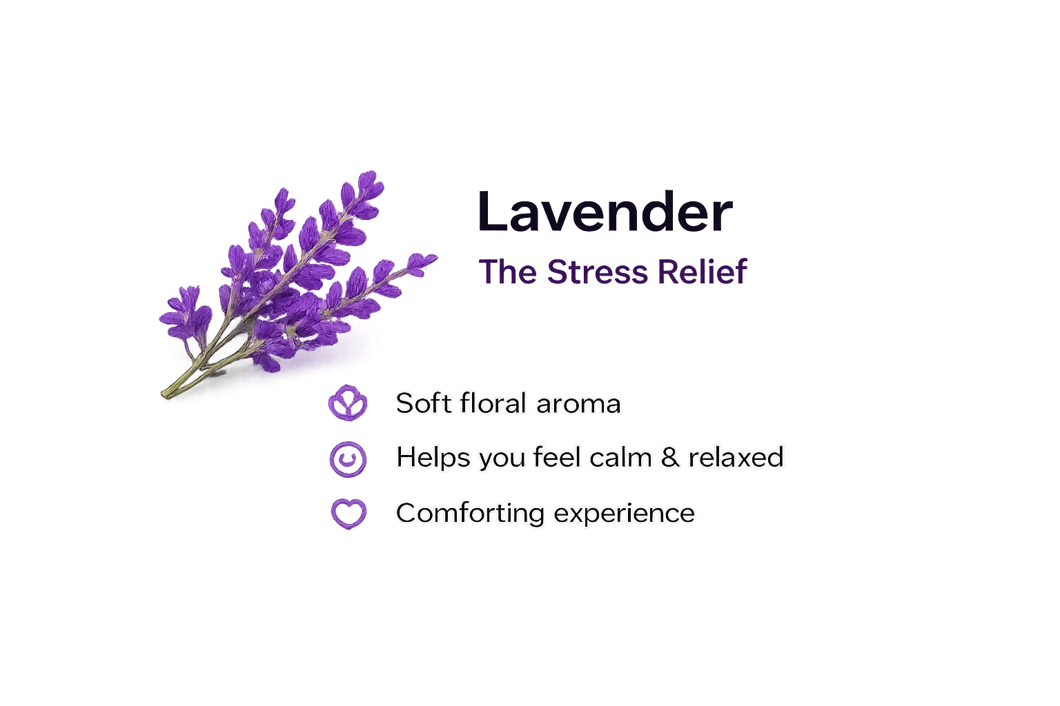 Lavender